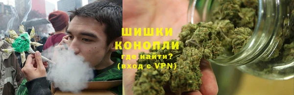 PSILOCYBIN Беслан