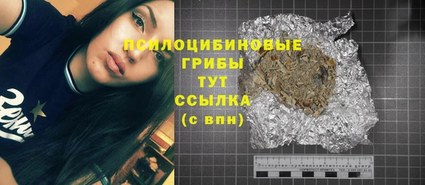 шишки Нефтегорск